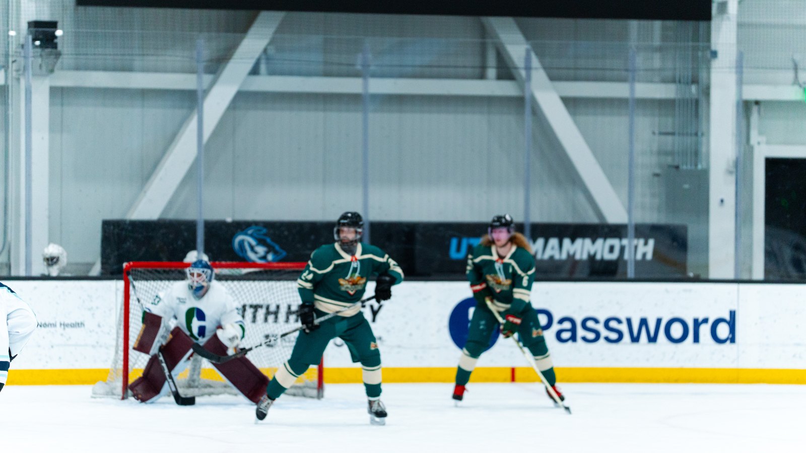 Hockey stick and puck in front of the net